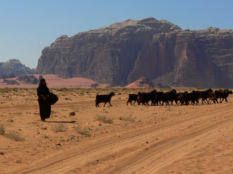 Wadi Rum (10).jpg